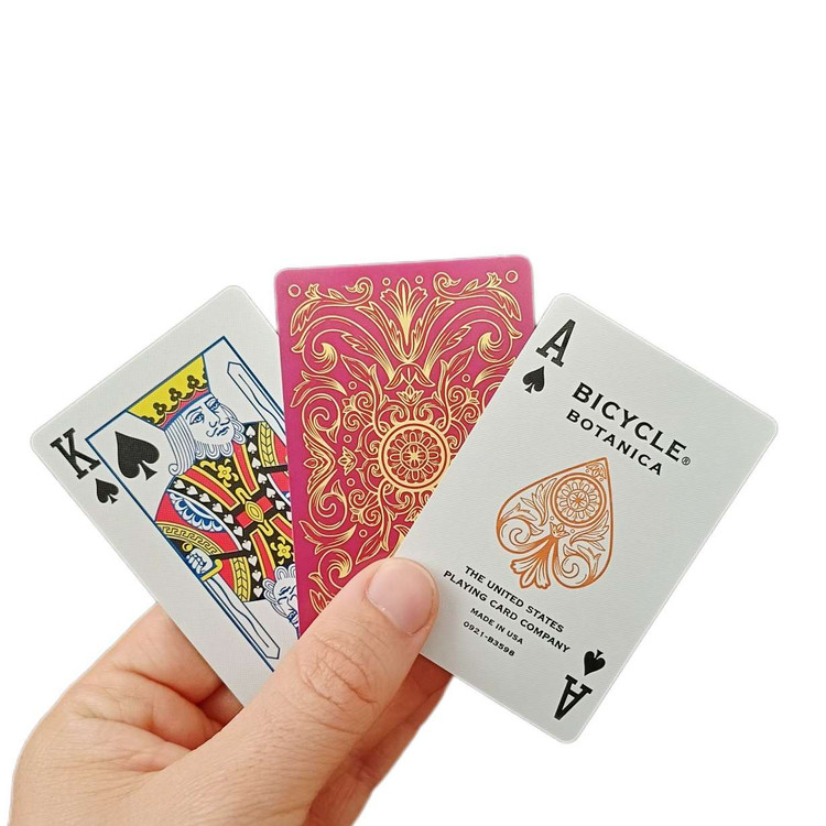 کارت-بازی-پاسور-بوتانیکا