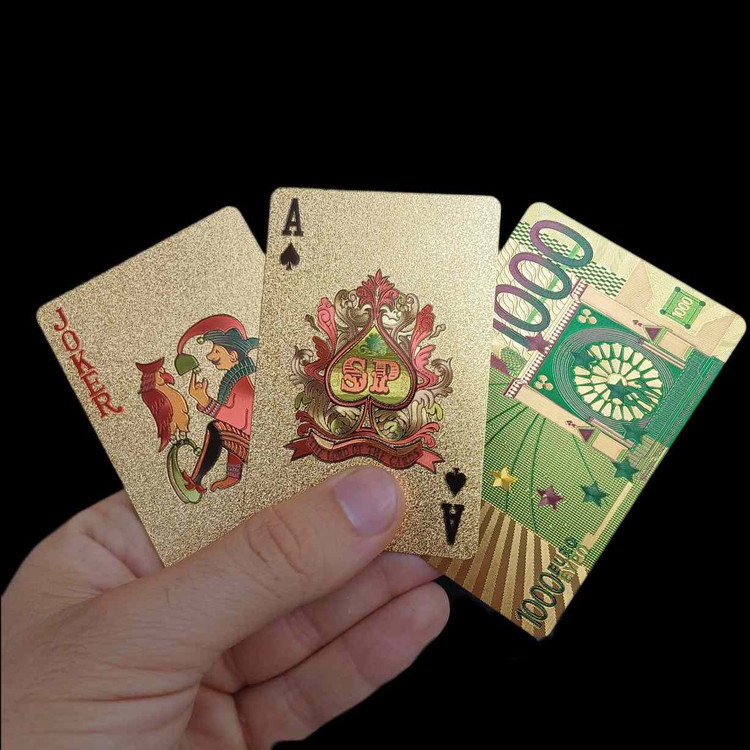 پاسور-۱۰۰۰-یورو
